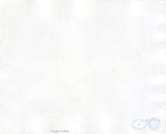 Fran Lebowitz Smoking