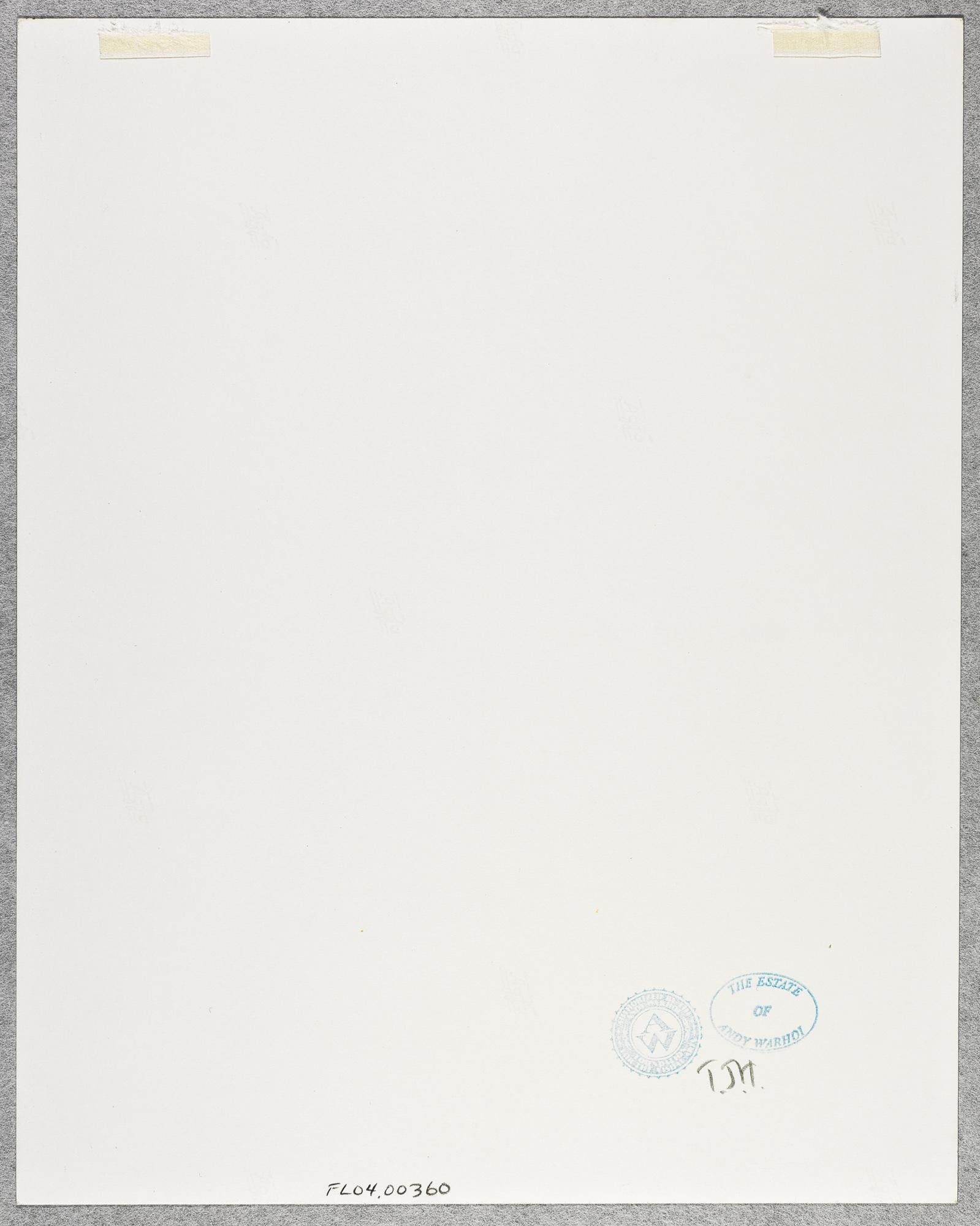 Gelatinesilberdruck von Bette Midler von Andy Warhol im Angebot 1