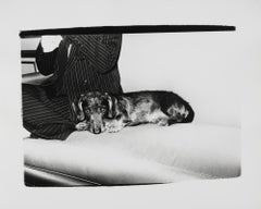 Gelatin silver print of Dachshund Dog by Andy Warhol