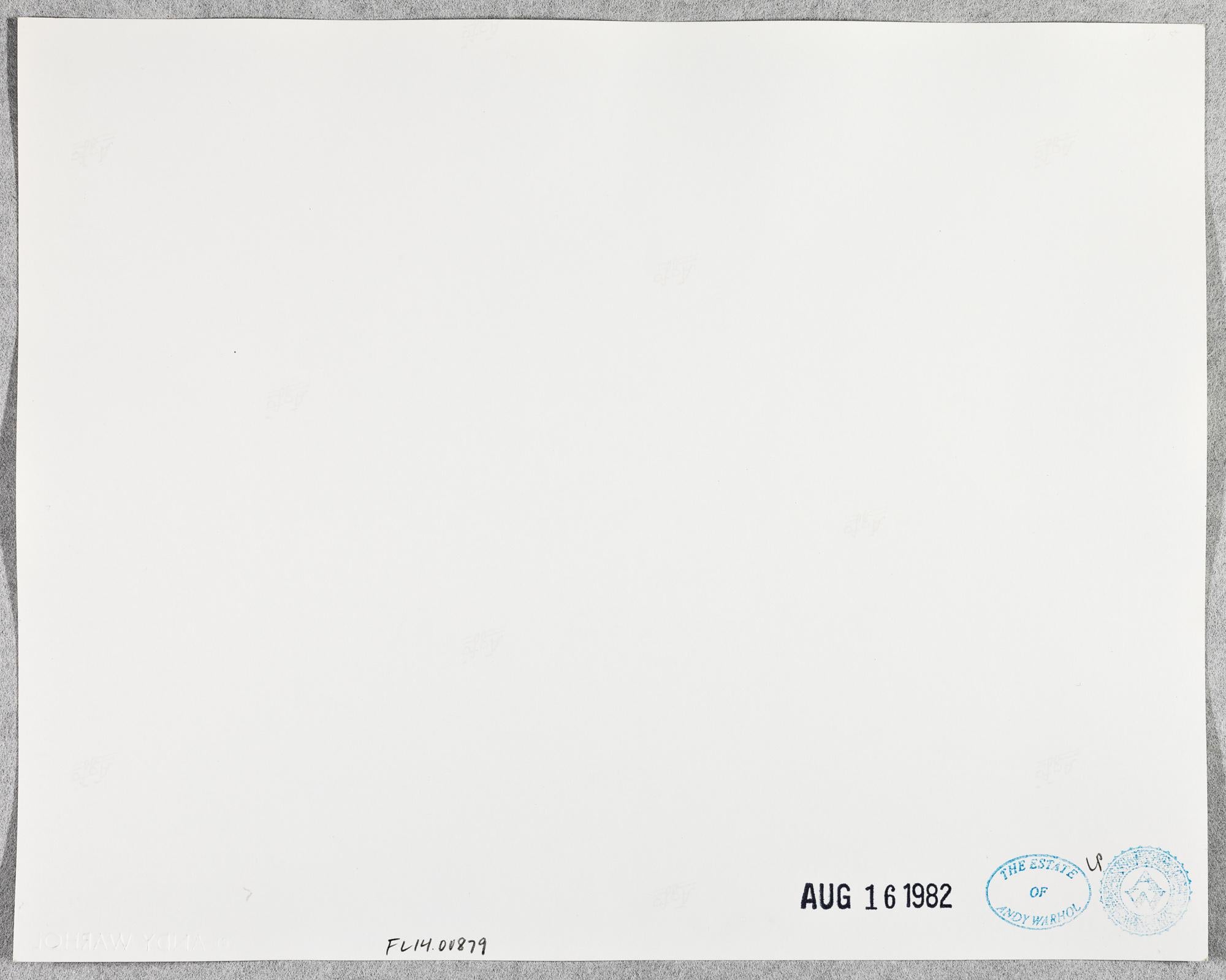 Gelatinesilberdruck von Debbie Harry und Marianne Faithful von Andy Warhol im Angebot 1