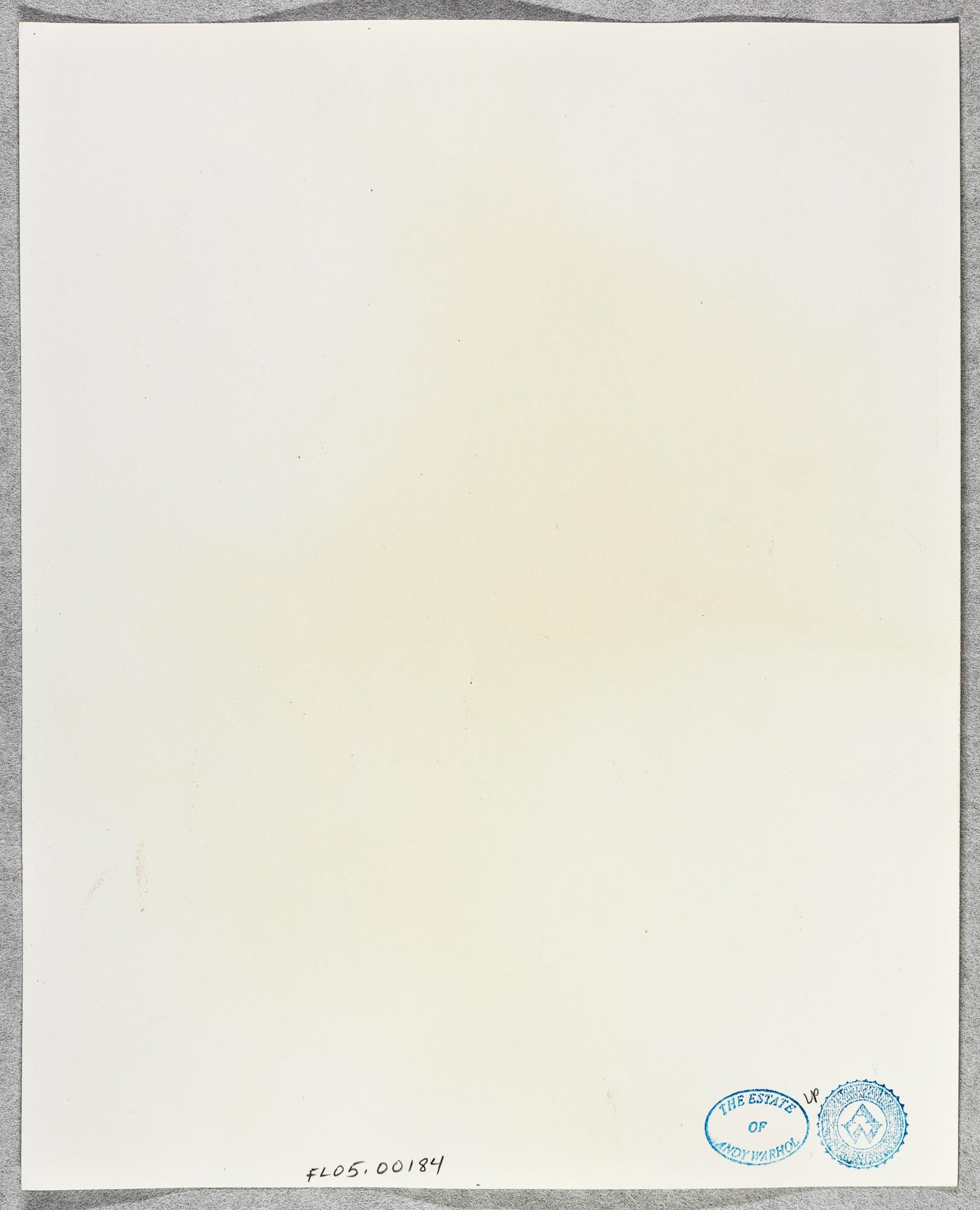 Gelatinesilberdruck des männlichen Modells und Victor Hugo von Andy Warhol im Angebot 1