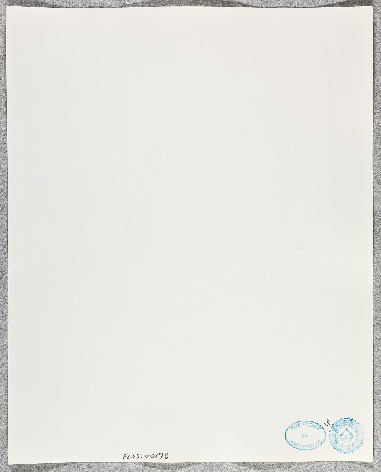 Gelatinesilber-Silberdruck eines männlichen Akts von Andy Warhol im Angebot 1