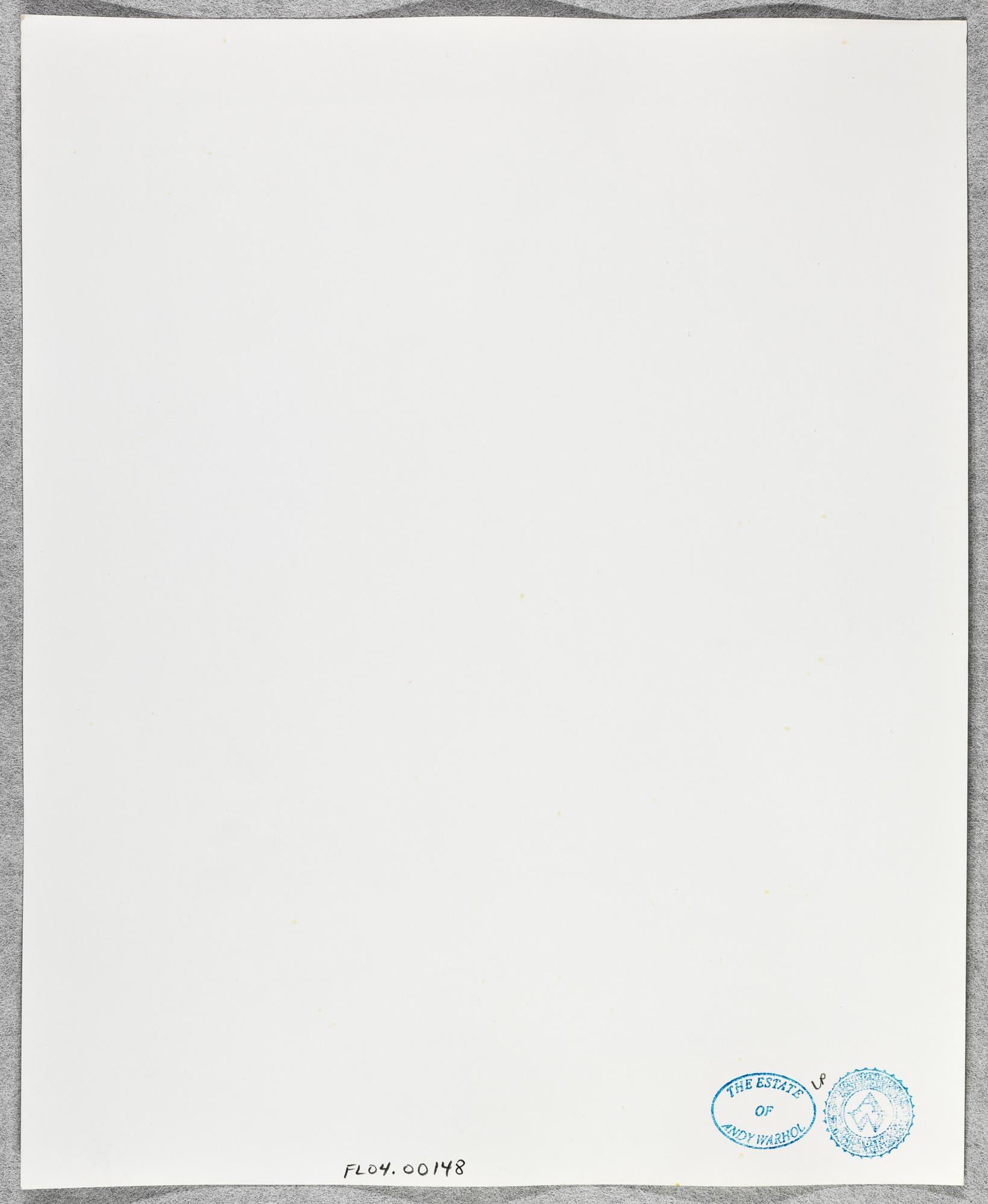 Gelatinesilberdruck von Pat Cleveland in Montauk von Andy Warhol im Angebot 1