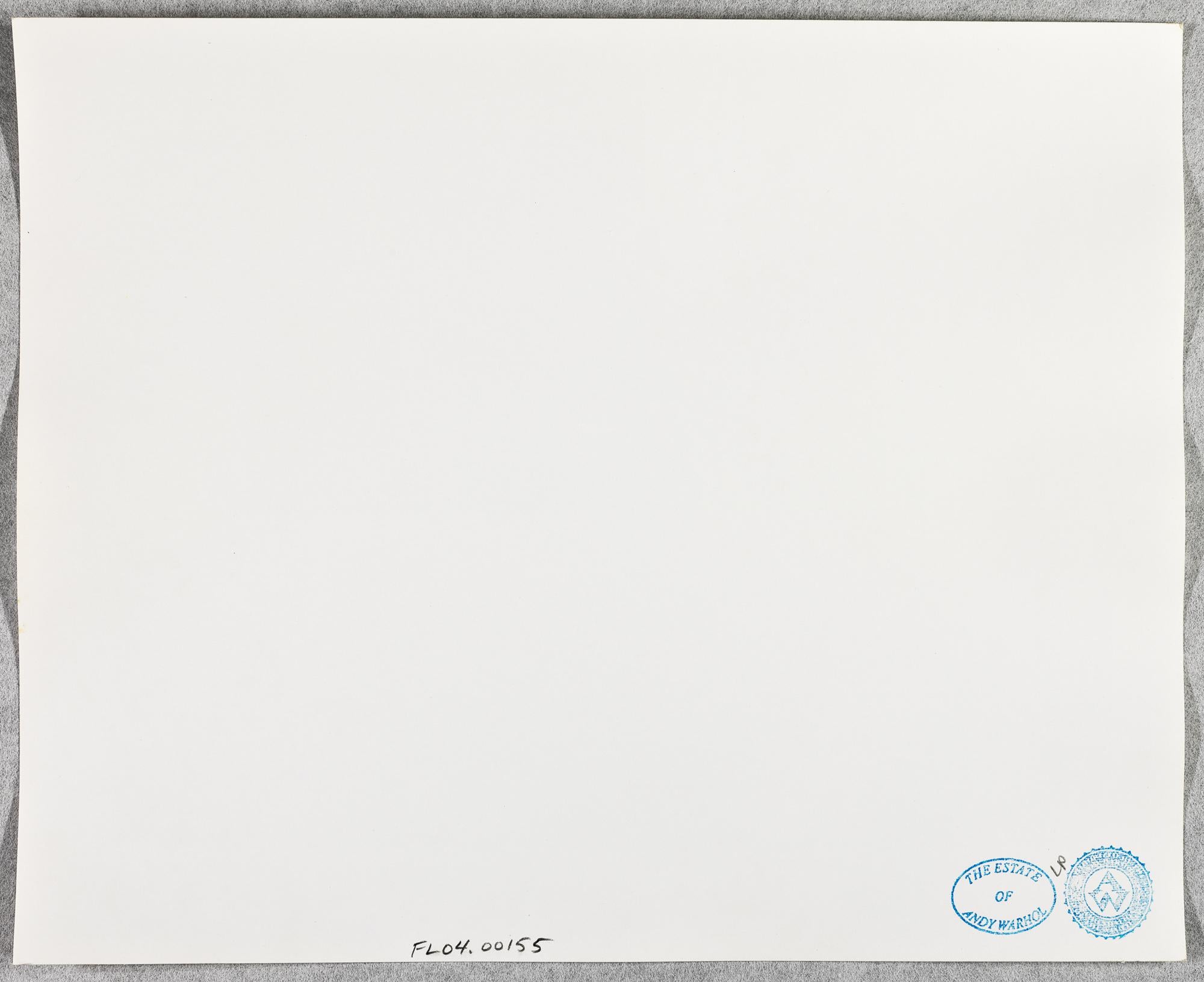 Gelatinesilberdruck von Pat Cleveland auf Lamm in Montauk von Andy Warhol im Angebot 1