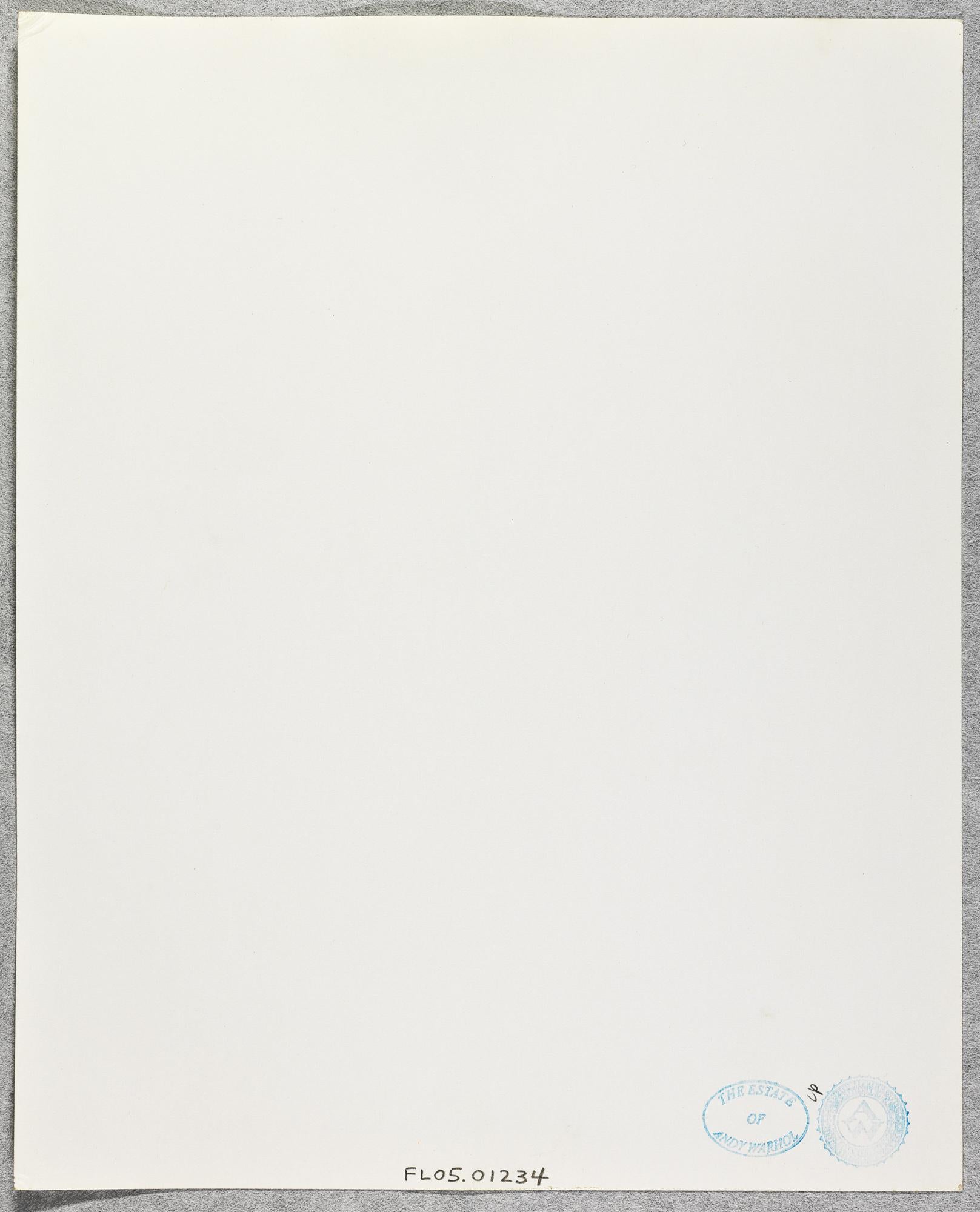 Gelatin silver print of Victor Hugo in Bathroom by Andy Warhol For Sale 1
