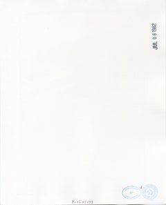 Halston Holding American Flag at Warhol's Montauk Estate