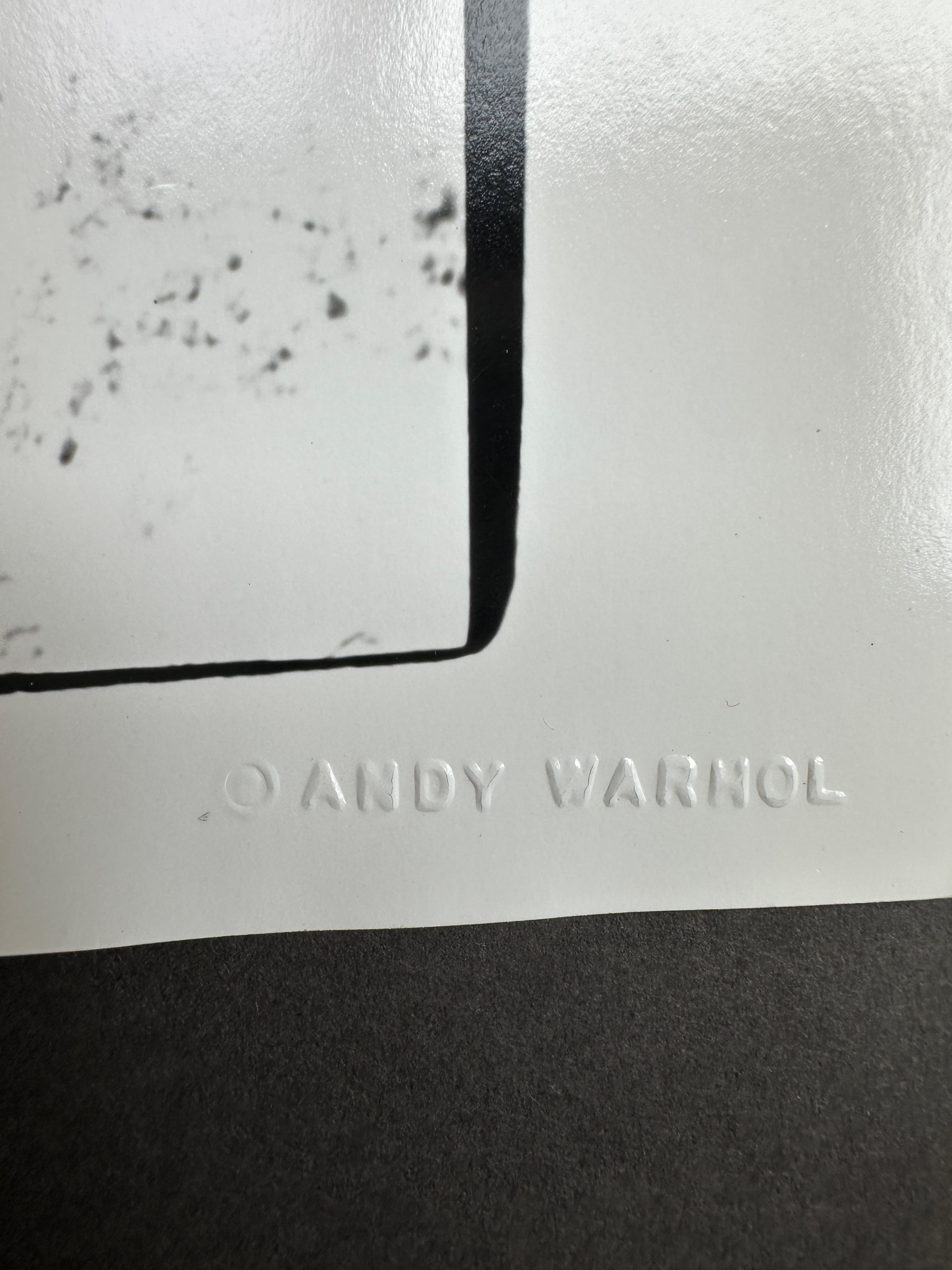 Aus der Jon Gould Collection of Andy Warhol Photographs 

Jedes Foto ist ein Unikat mit der Blindprägung 