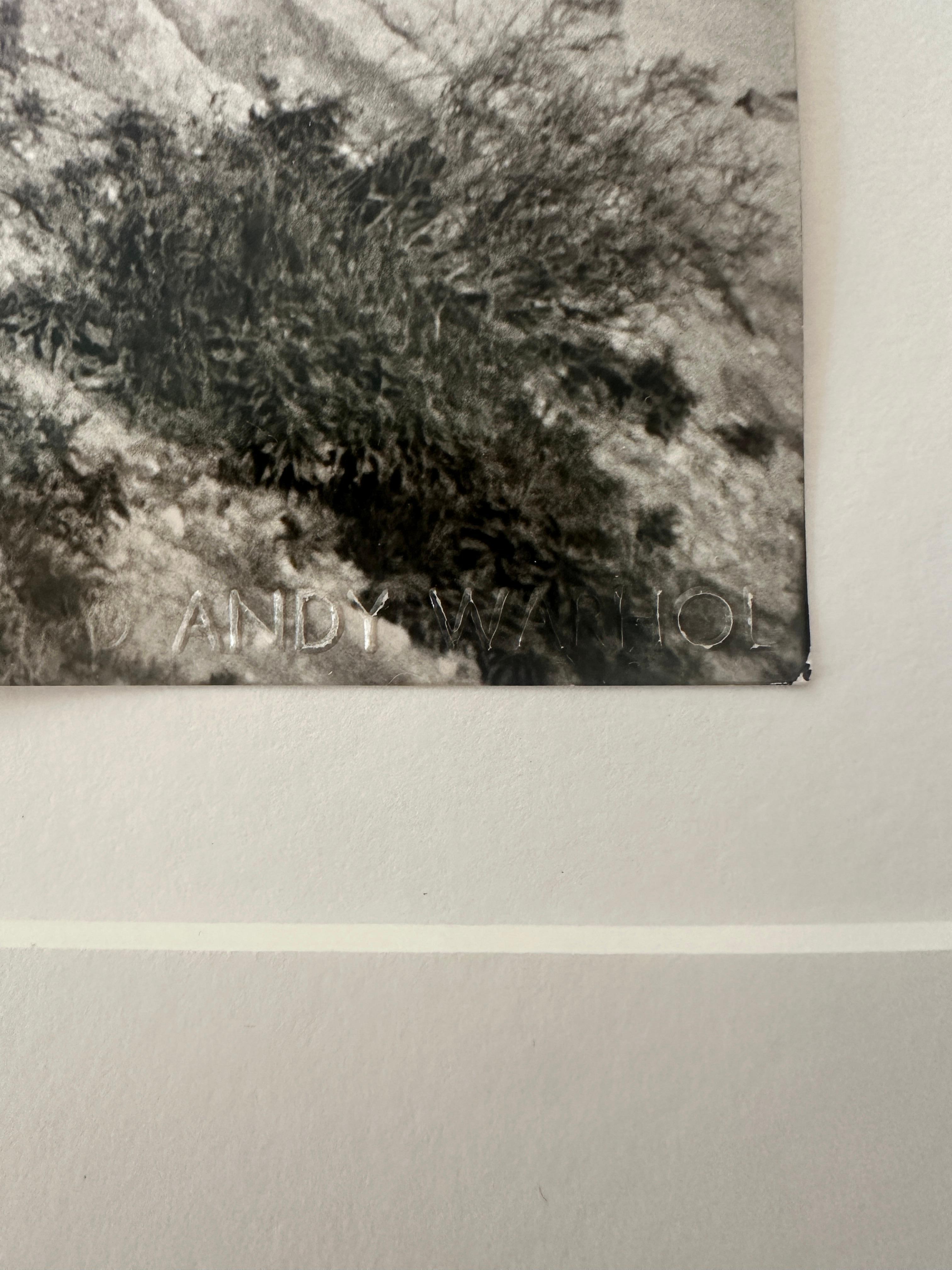 Jon Gould Walking Cliffside Montauk - Photograph by Andy Warhol