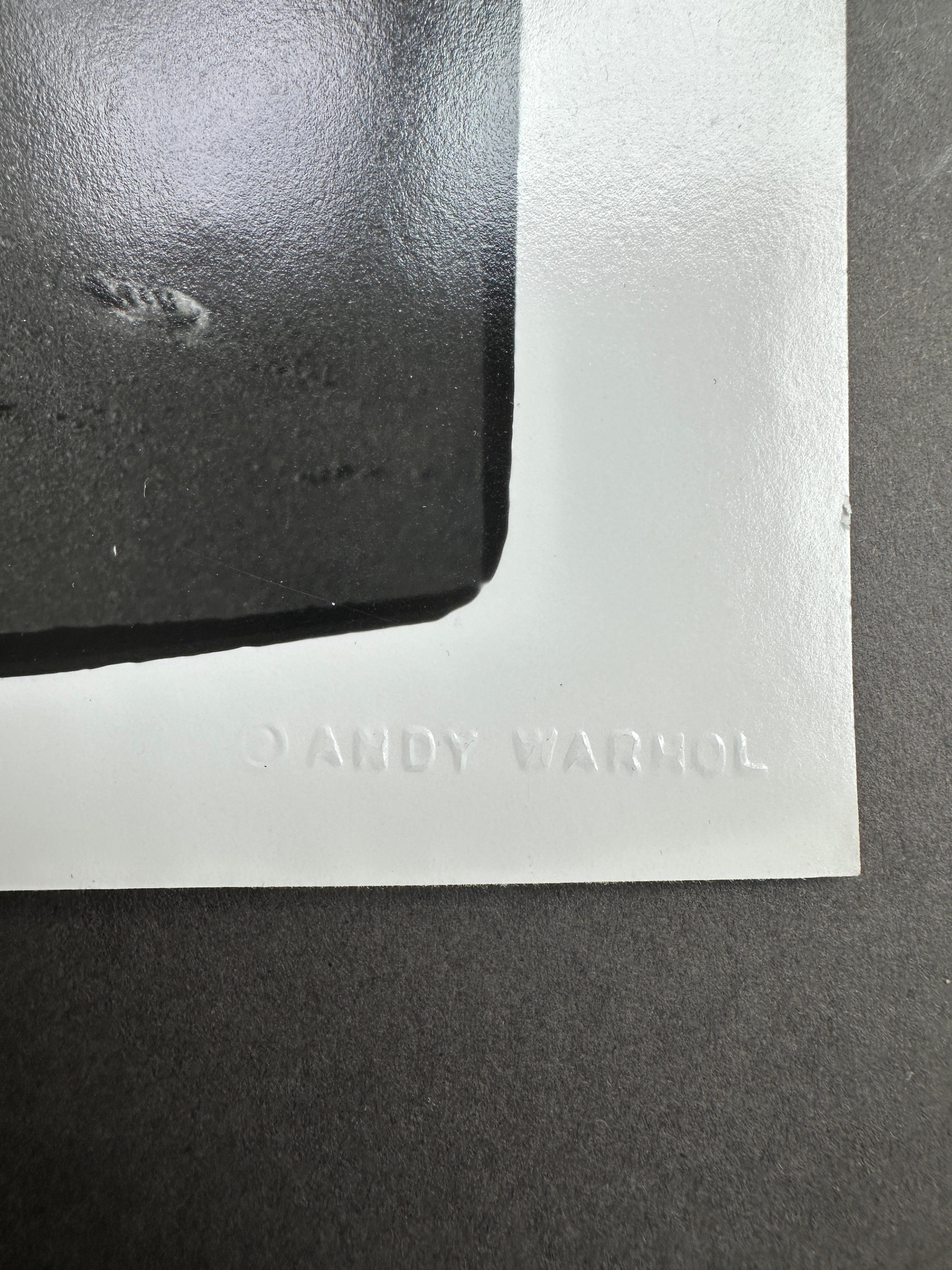 Aus der Jon Gould Collection of Andy Warhol Photographs 

Jedes Foto ist ein Unikat mit der Blindprägung 