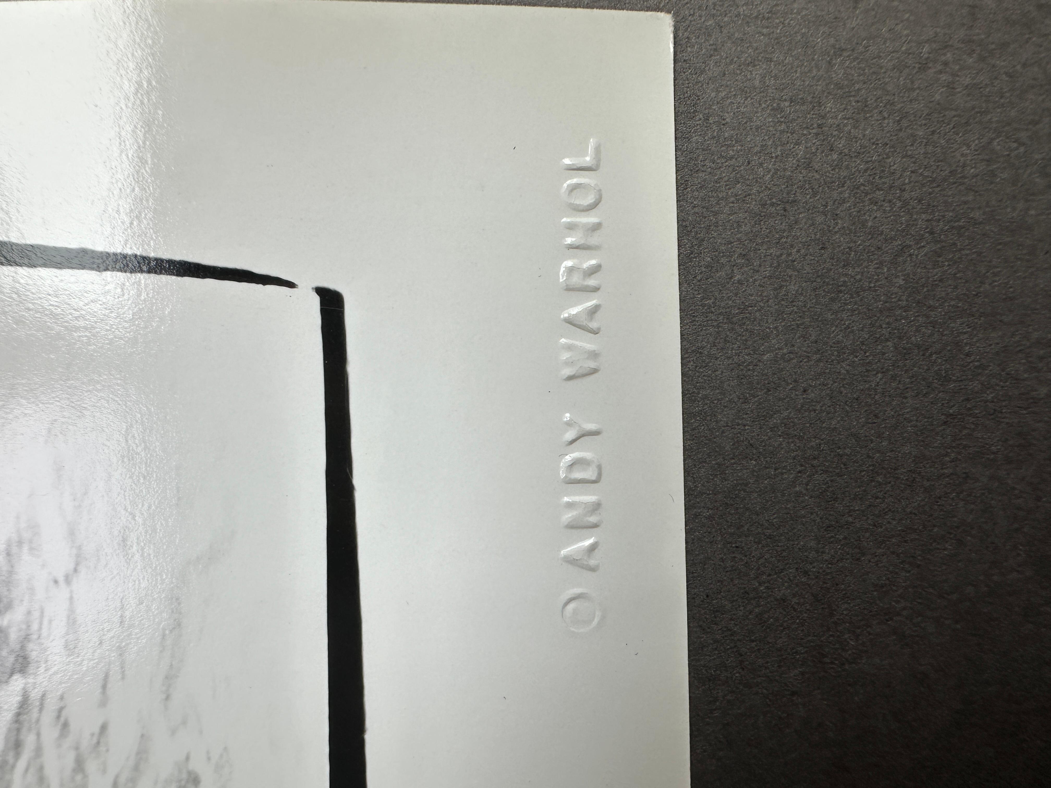 Dalla Collezione Jon Gould di fotografie di Andy Warhol 

Ogni foto è unica e reca la scritta 