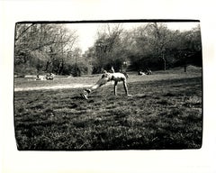 Jon Gould Yoga Pose Central Park