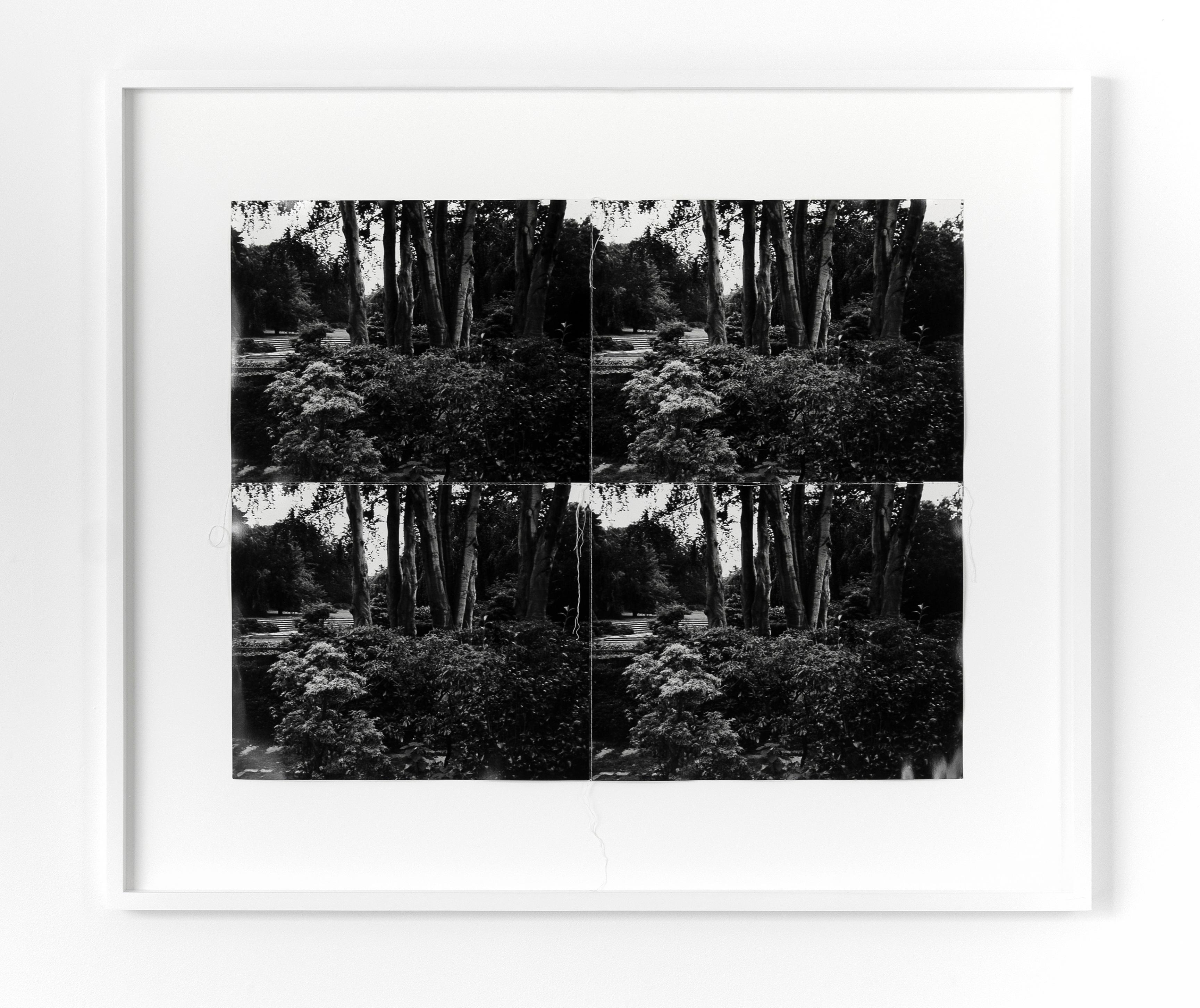 Andy Warhol Black and White Photograph - Landscape