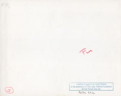 Bodegón de botella de licor, vasos y toalla de papel