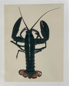 Lobster