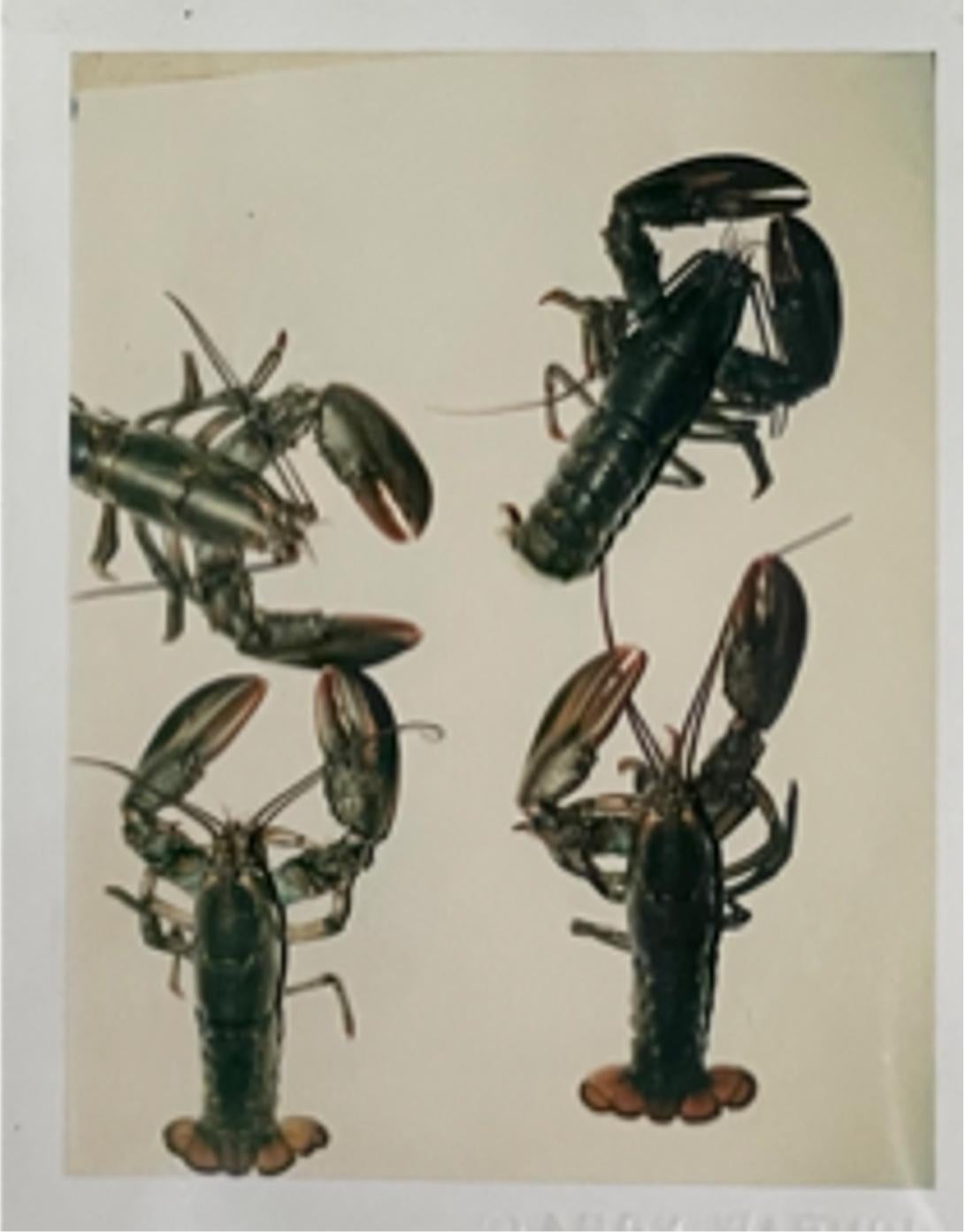 Langostas