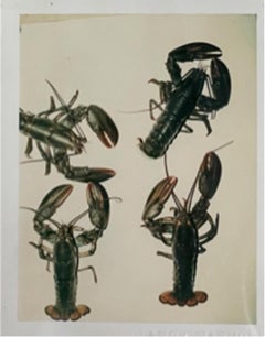Langostas