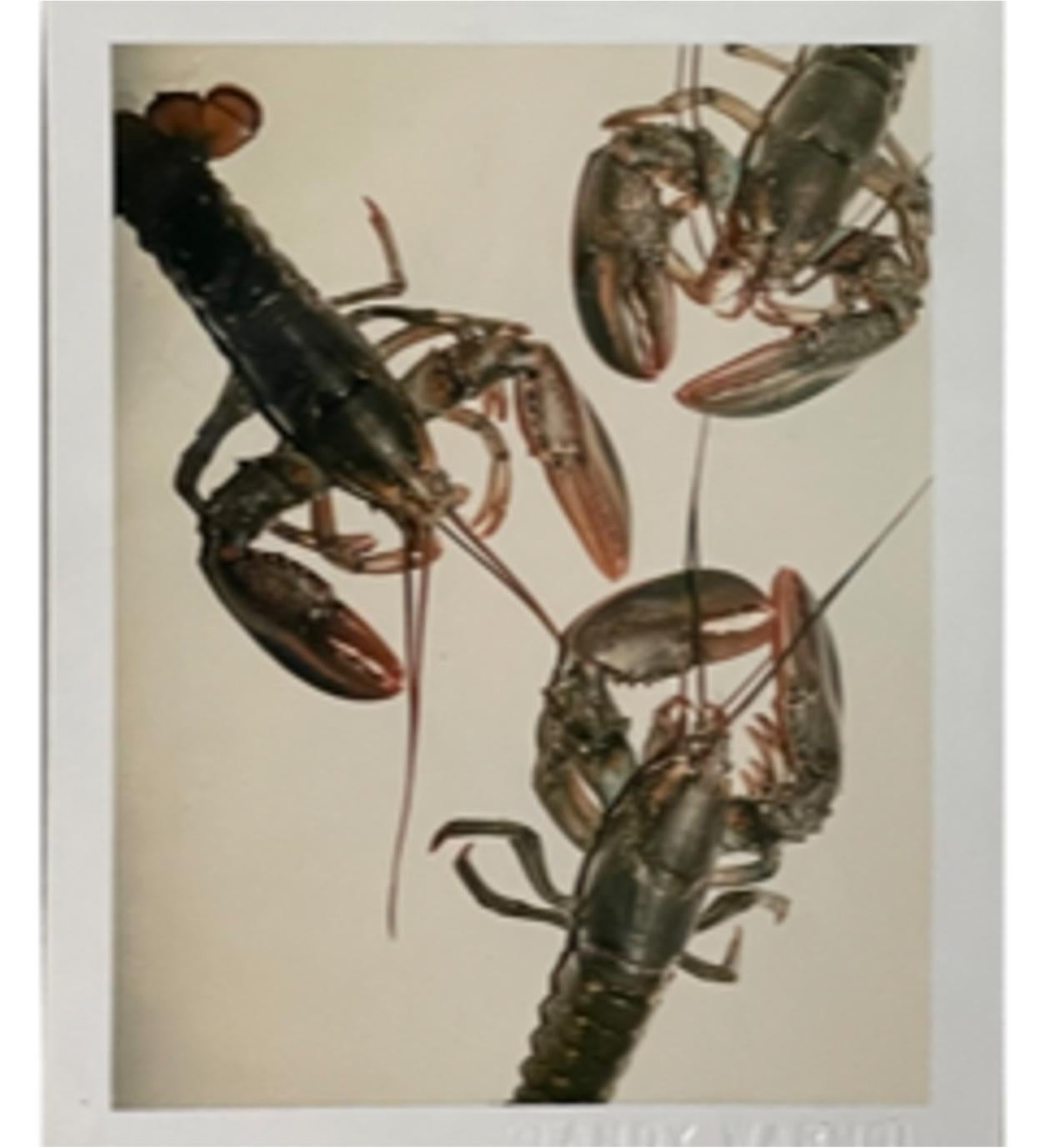 Homards