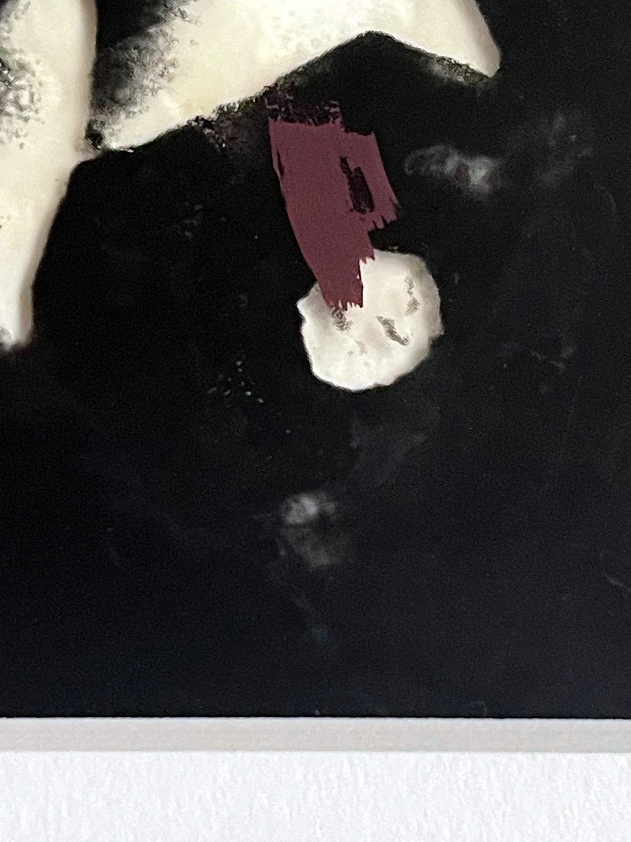 Marcel Proust, Acetato unico consegnato da Andy Warhol a Chromacomp Inc. Incorniciato - Photograph di Otto Wegener