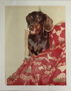 Maurice the Dachshund (Andy Warhol's dog)