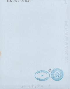 Color Polaroid ‘Sex Parts and Torsos’ by Andy Warhol