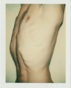 Color Polaroid ‘Sex Parts and Torsos’ by Andy Warhol
