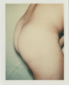 Color Polaroid ‘Sex Parts and Torsos’ by Andy Warhol