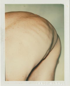 Color Polaroid ‘Sex Parts and Torsos’ by Andy Warhol