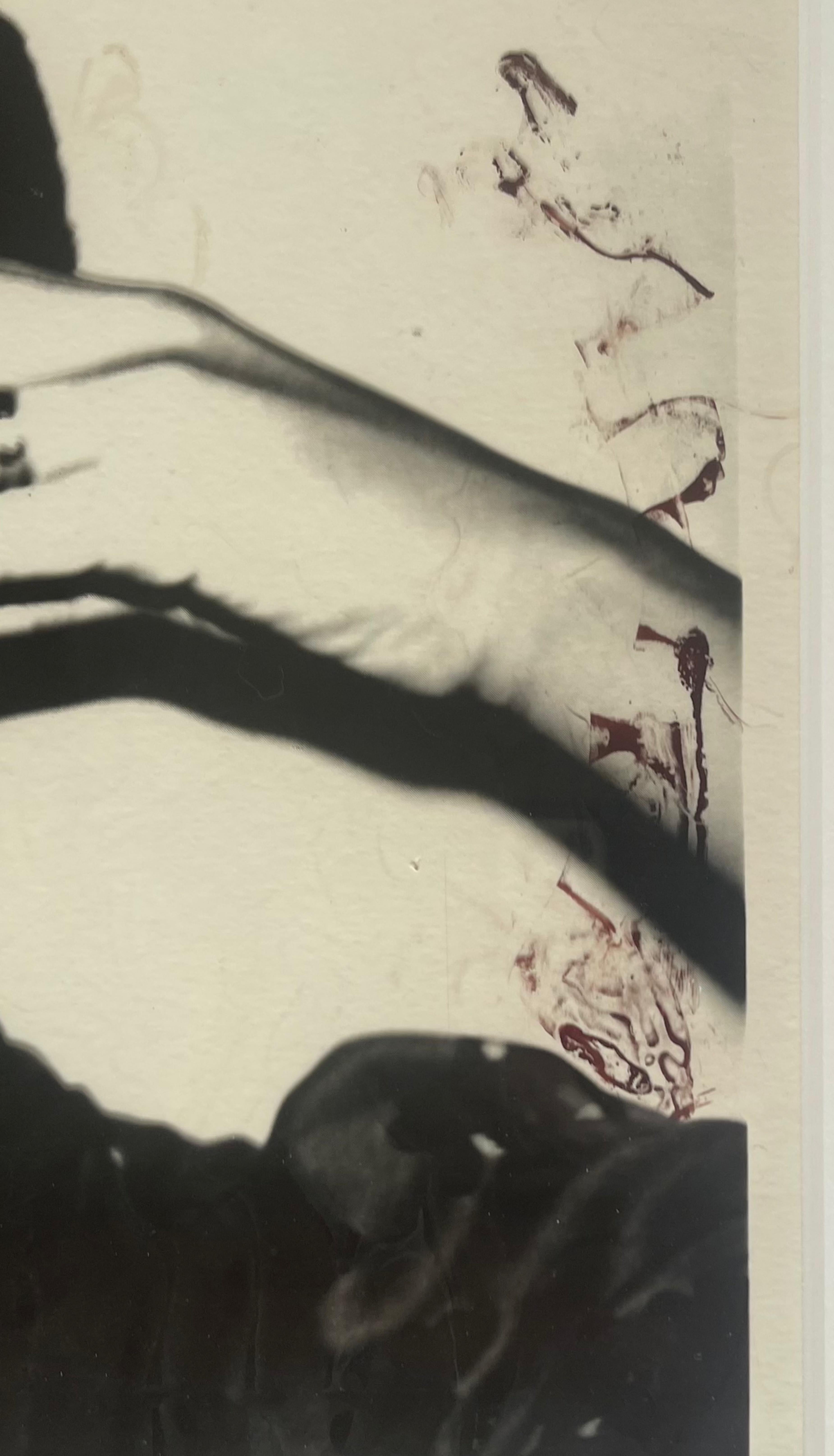 Original acetate positive for Ladies & Gentlemen ca. 1975 with provenance Framed - Photograph Pop Art di Andy Warhol