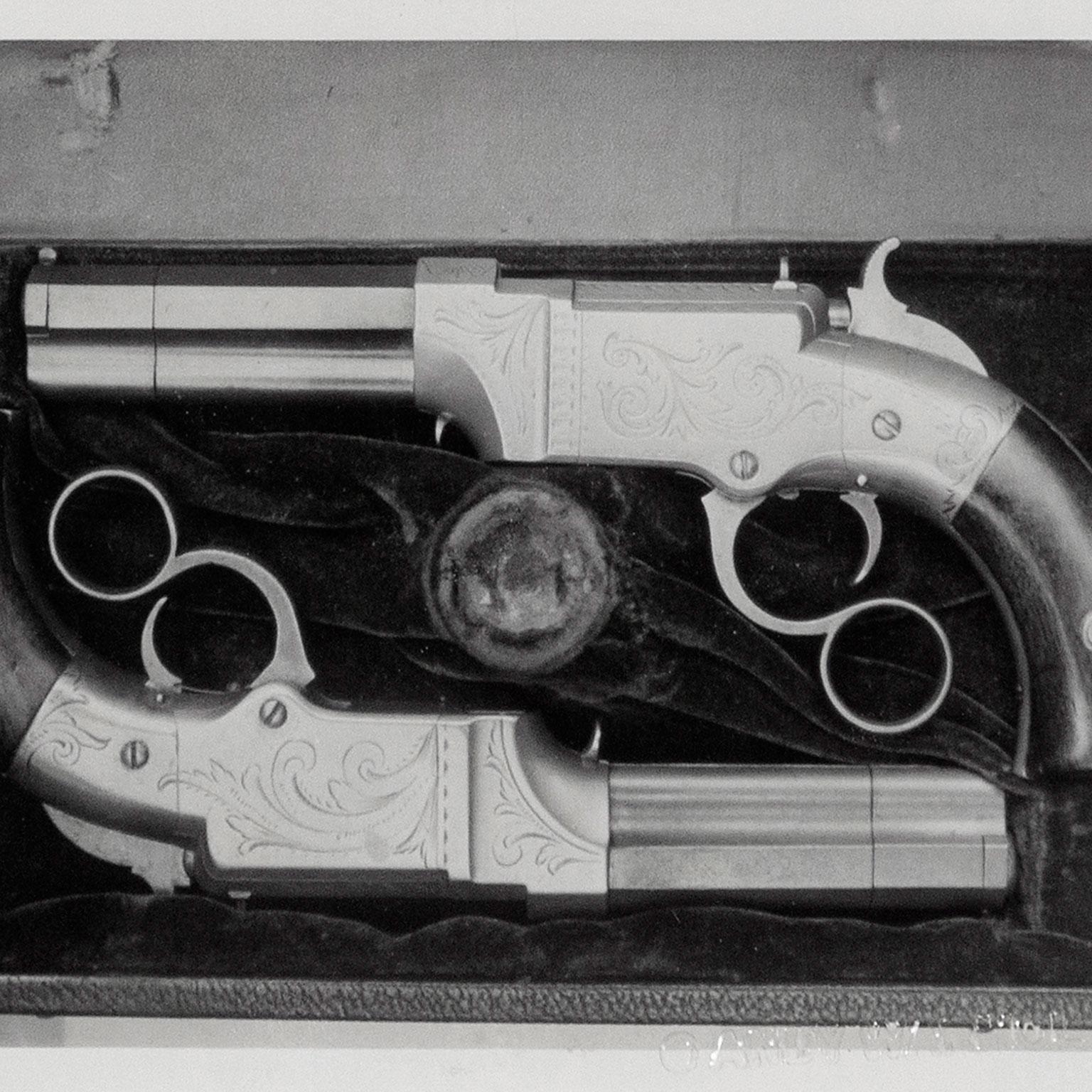 Andy Warhol begann 1971 mit der Polaroid-Großbildkamera, die er bis zu seinem Tod im Jahr 1987 regelmäßig benutzte. Obwohl die Kamera 1973 ausgemustert wurde, nutzte er sie weiterhin, um die Schauspieler, Künstler, Tänzer, Politiker, Prominenten und
