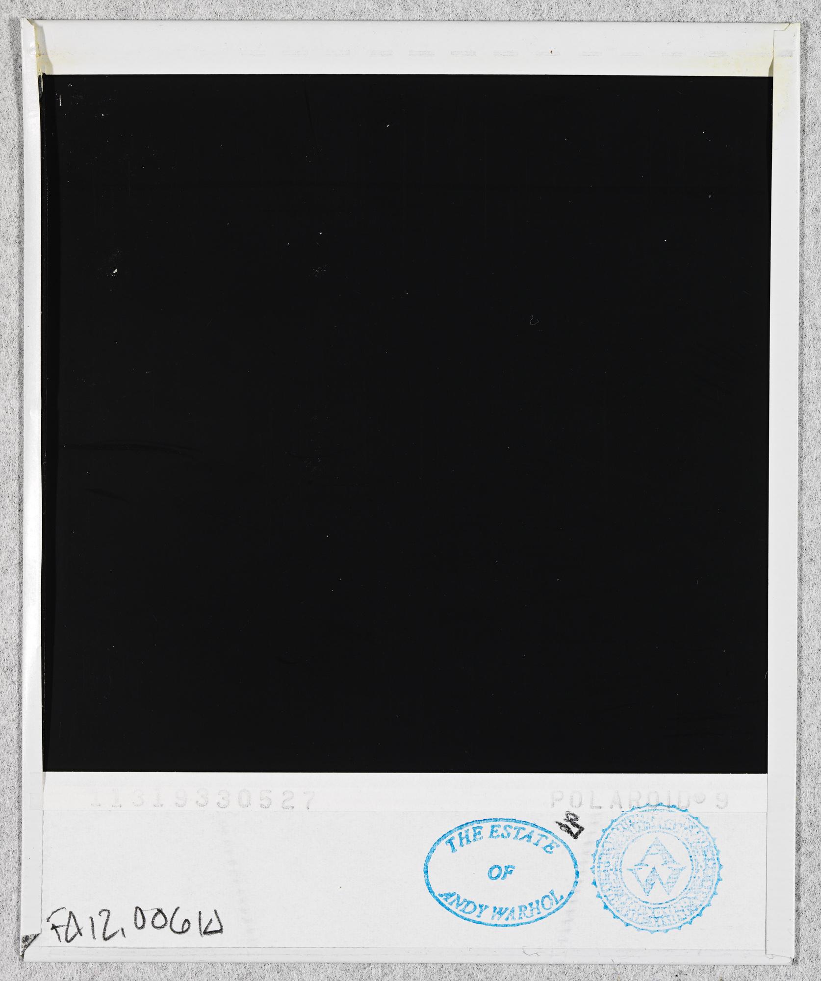 Polaroid von Henry E. Rollins' Torso von Andy Warhol im Angebot 1
