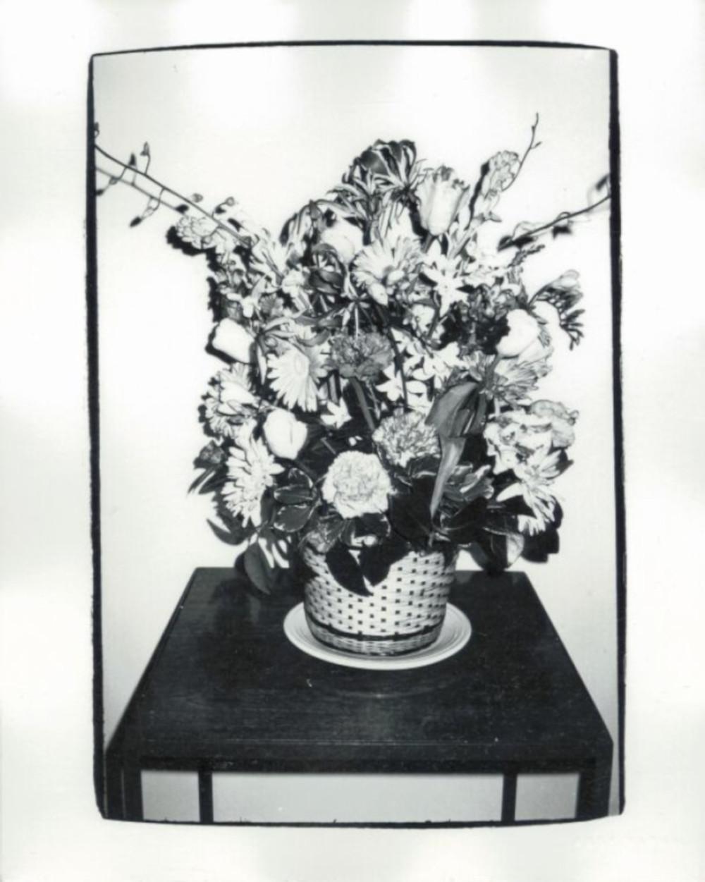 Andy Warhol Black and White Photograph - Potted Flowers