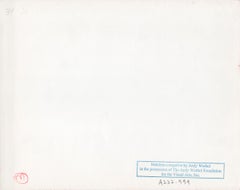 Sean Lennon with Kenny Scharf and his son