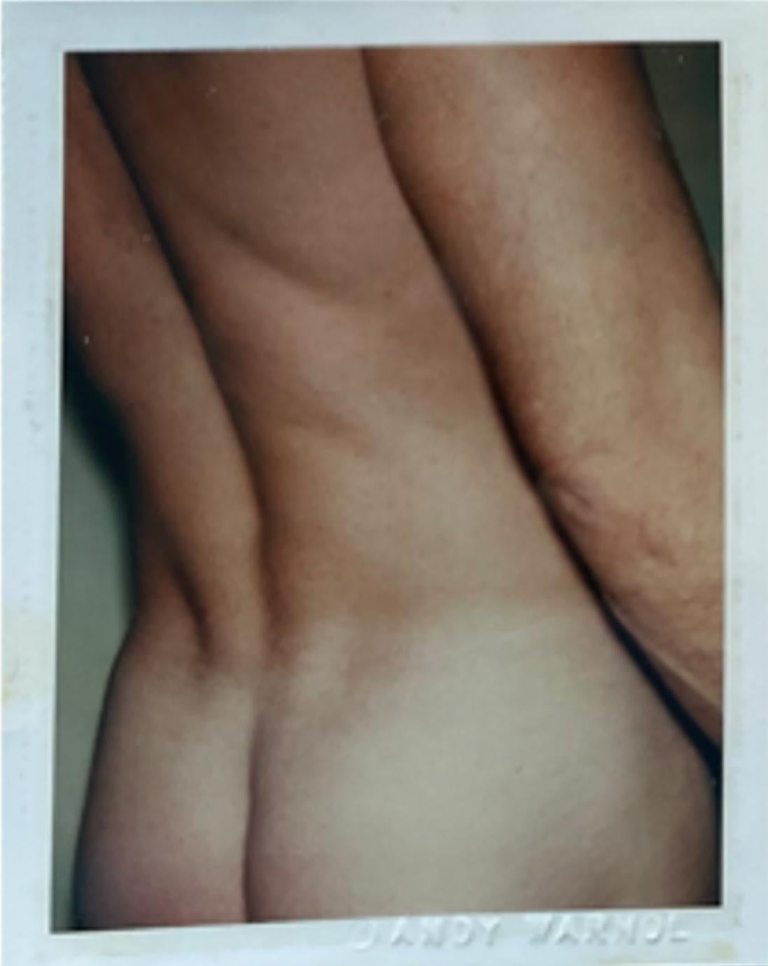 Sex Parts and Torsos