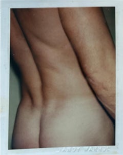 Partes Sexuales y Torsos