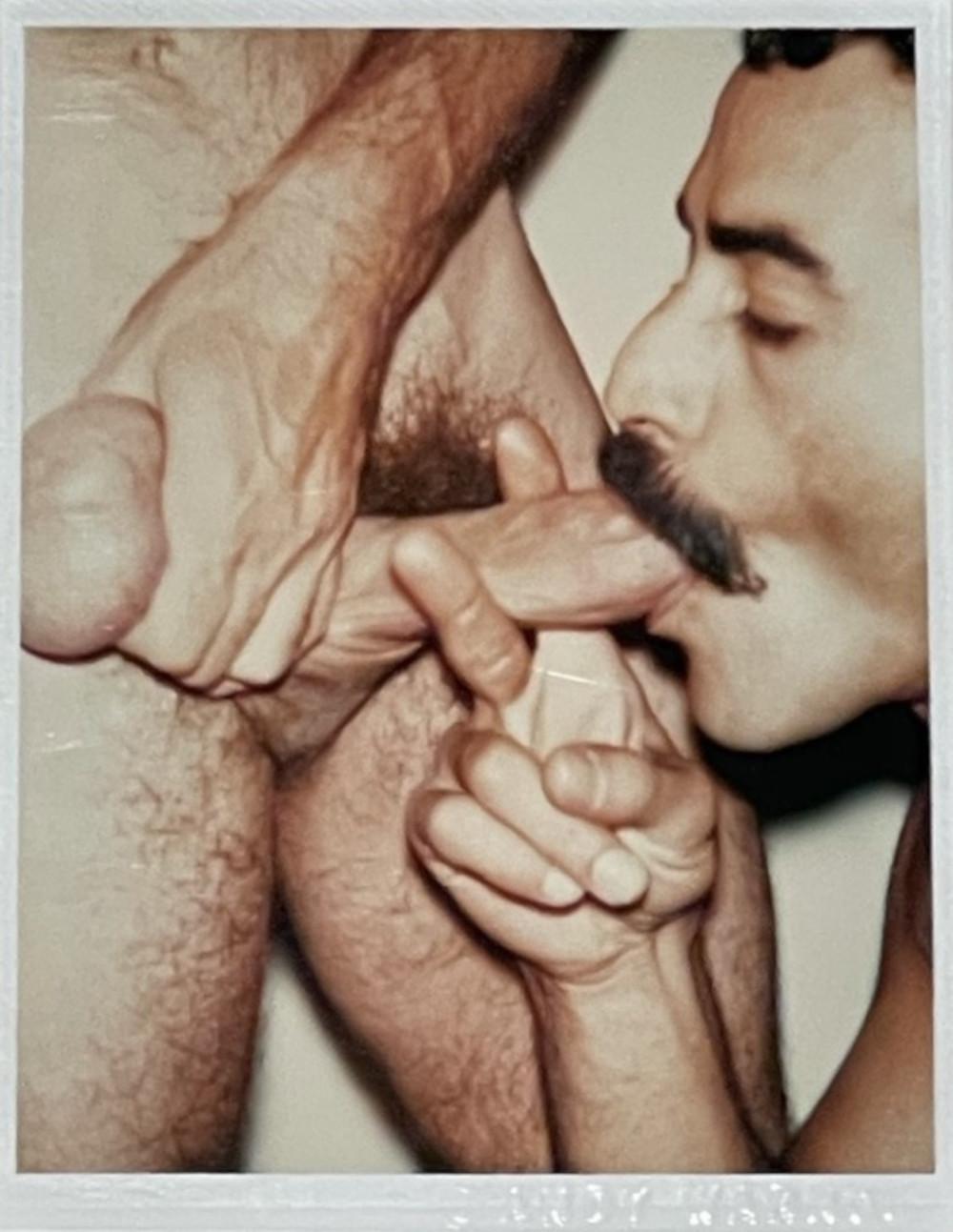 Farbpolaroid "Geschlechtsteile und Torsi (Victor Hugo)" von Andy Warhol