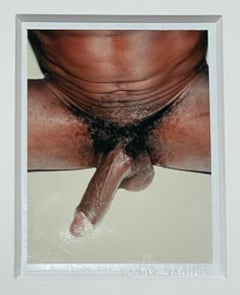 Retro Color Polaroid ‘Sex Parts and Torsos’ by Andy Warhol