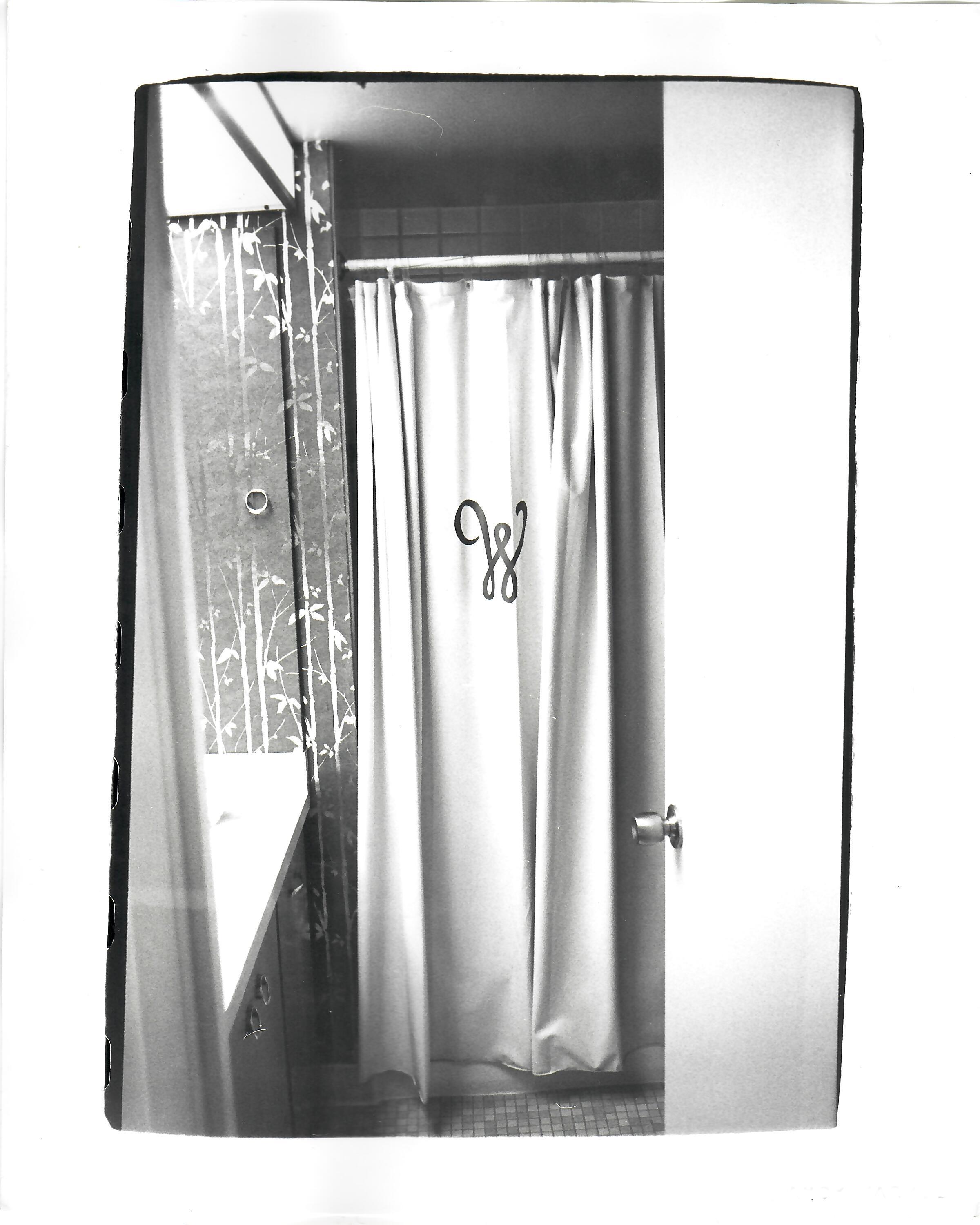 Andy Warhol Black and White Photograph - Shower Curtain