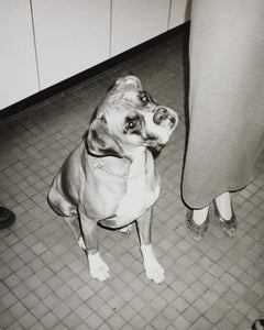Silver gelatin print of Dog by Andy Warhol