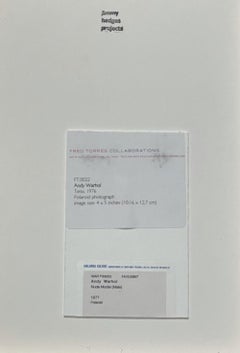 Color Polaroid ‘Sex Parts and Torsos’ by Andy Warhol