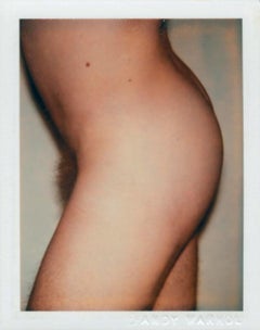 Color Polaroid ‘Sex Parts and Torsos’ by Andy Warhol