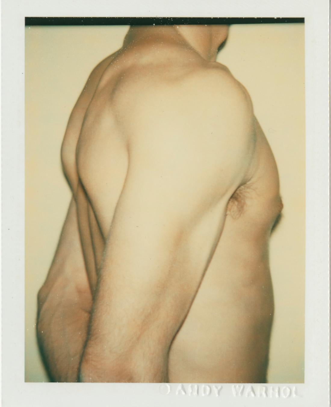 Andy Warhol Nude Photograph - Torso