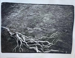 Branch a Montauk