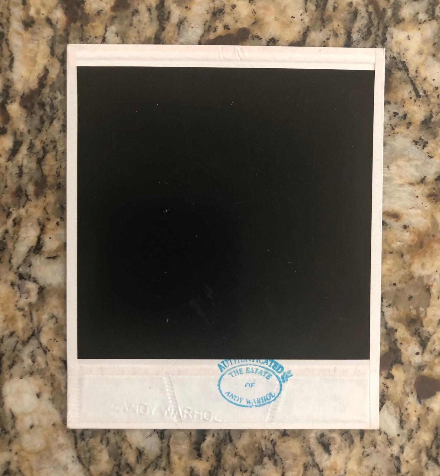 Mid-Century Modern Andy Warhol Polaroid Photograph, Estate Authenticated