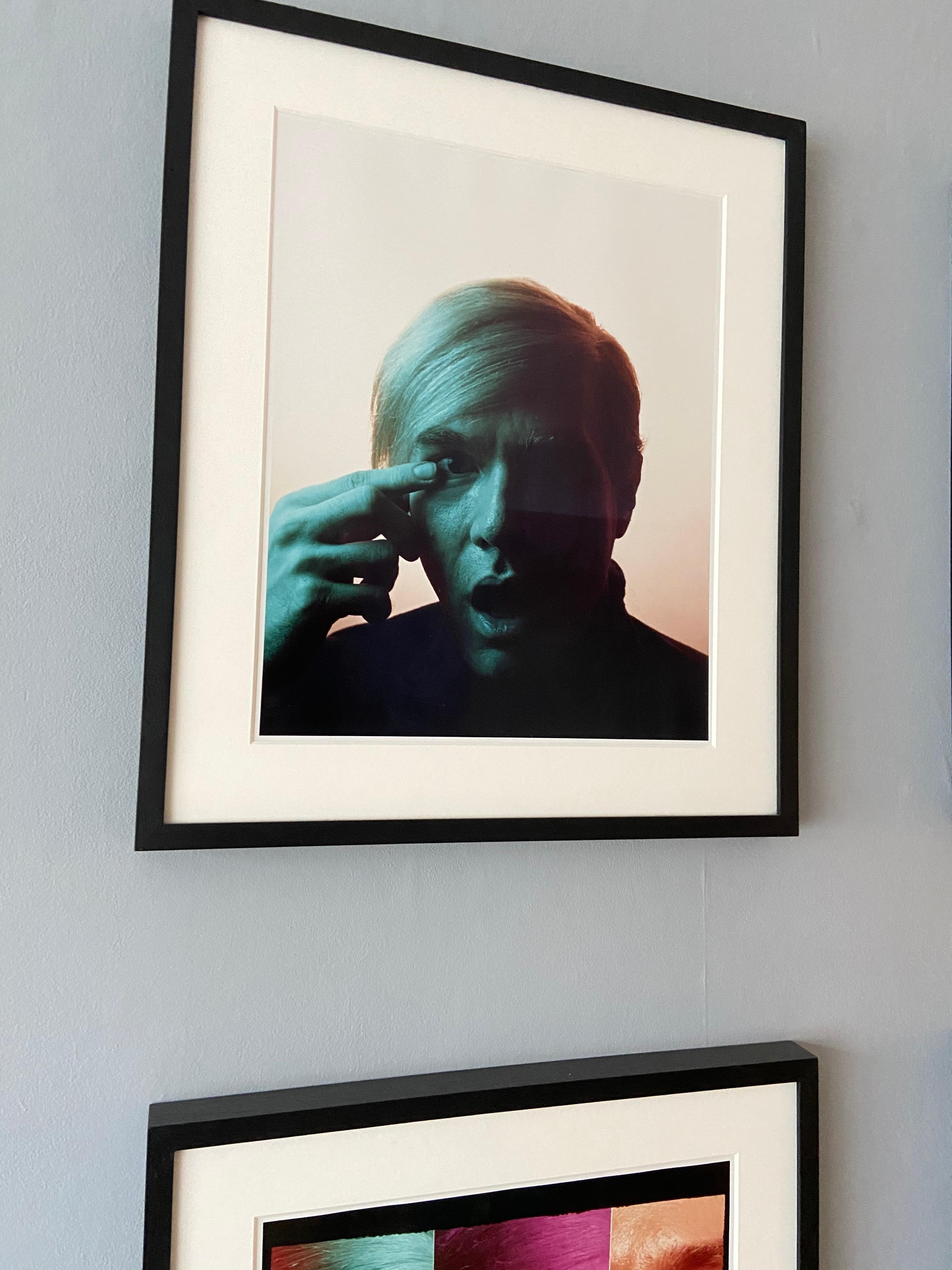Andy Warhol Portraits by Philippe Halsman, Set of Four 5