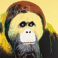 Orangutan, Andy Warhol