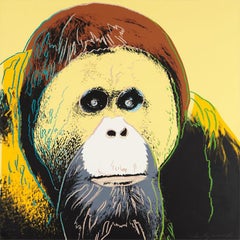  Orangutan, Andy Warhol