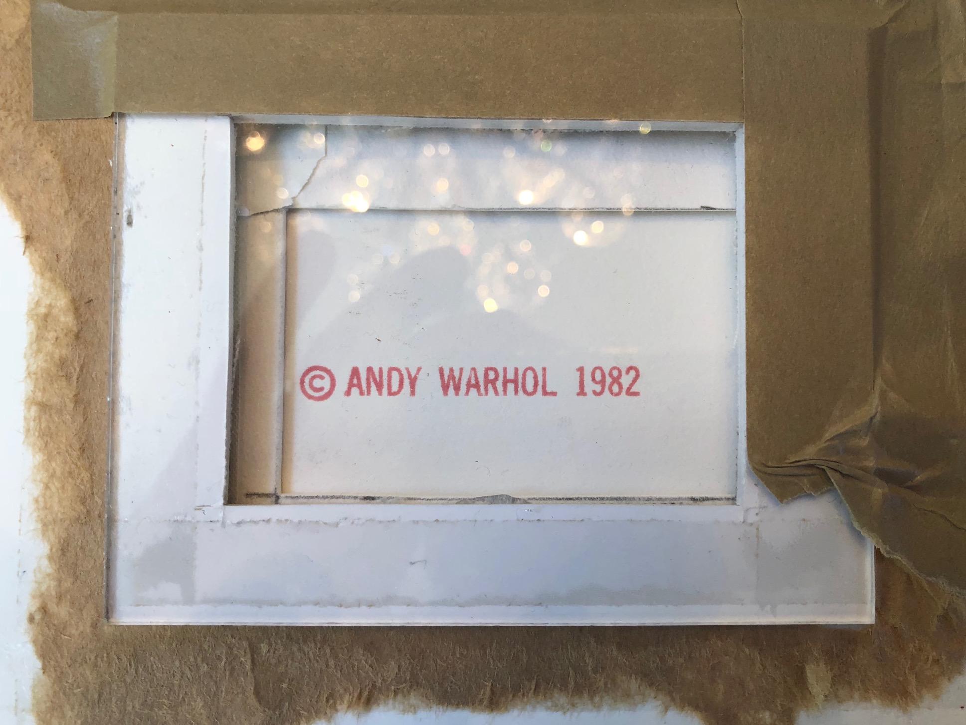 Signed and numbered in pencil lower right. Published by Andy Warhol, New York. Printed by Rupert Jasen Smith, New York. Andy Warhol Prints Catalogue Raisonne 1962-1987 Feldman/Schellmann Fourth Edition F&S II.284.