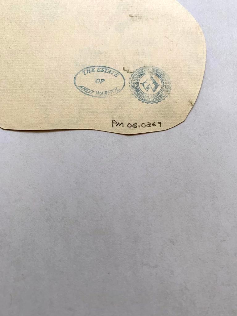 25 Cats Nom[d] Sam and One Blue Pussy - Print de Andy Warhol