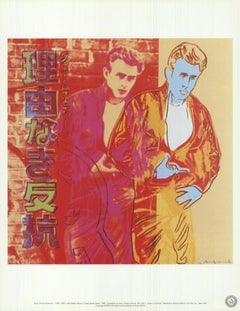 Ads: Rebel Without a Cause (James Dean) By Andy Warhol