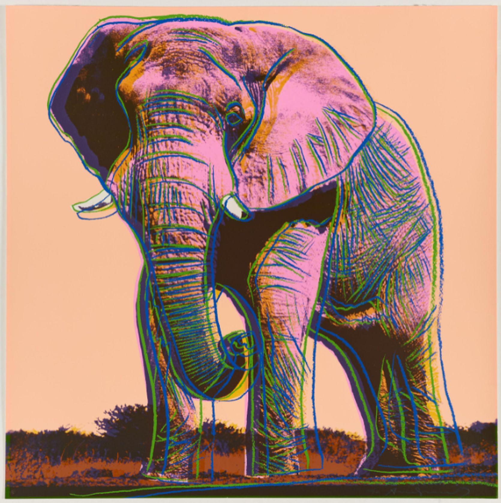 Elefante africano di Andy Warhol 1